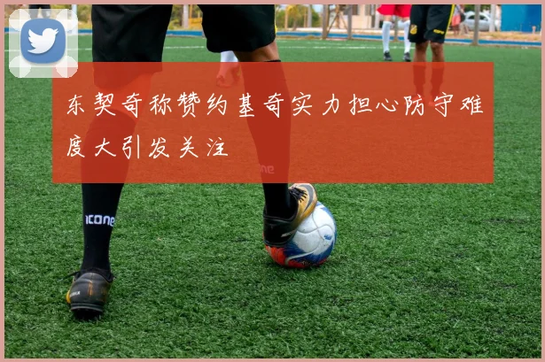 东契奇称赞约基奇实力担心防守难度大引发关注