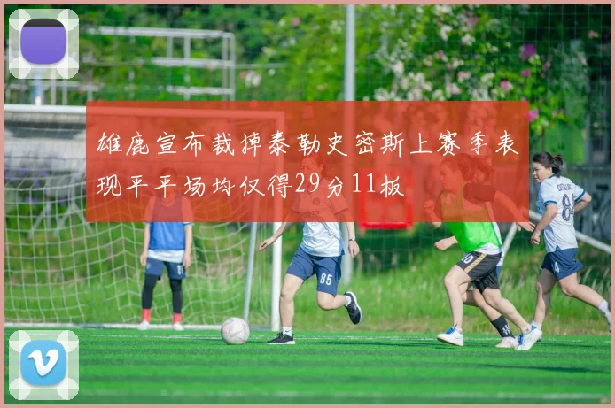 雄鹿宣布裁掉泰勒史密斯上赛季表现平平场均仅得29分11板